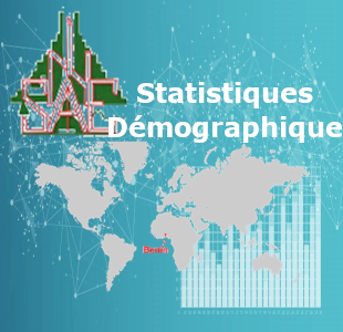 insae statistiques economiques