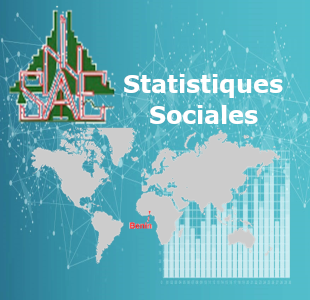 insae statistiques economiques